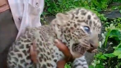 WhatsApp Image 2022 07 24 at 2.29.45 PM