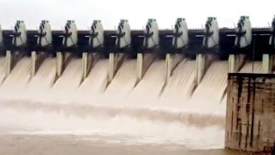 ezgif.com gif maker13