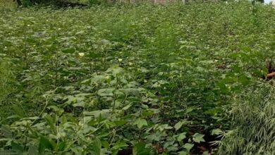 IMG 20221012 WA0024 e1666365355618