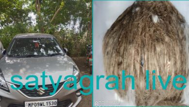 500 ग्राम वजनी 13 हथगोले सहित एक गिरफ्तार, एक फरार, पलसूद में अवैध बारूदी हाथ गोले धरपकड़ की बड़ी कार्यवाही 8 Untitled 1 copy