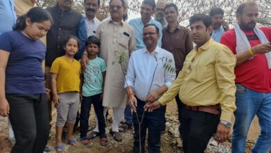 बड़वानी; मुख्यमंत्री के जन्मदिवस पर शिवकुंज में केबिनेट मंत्री के नेतृत्व में हुआ 221 पौधो का रोपण 7 12 3