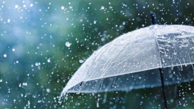 barish