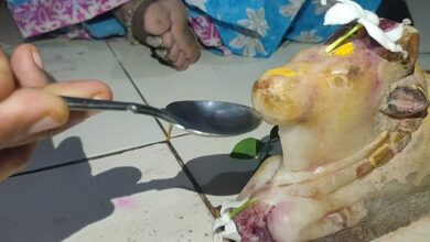 IMG 20230728 19590440