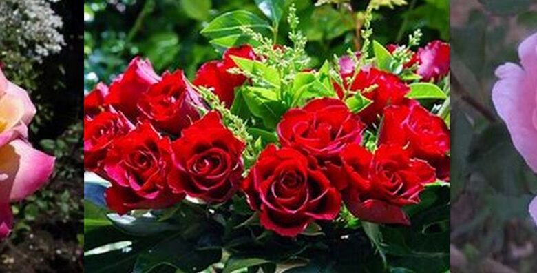 IMG 20240108 WA0056