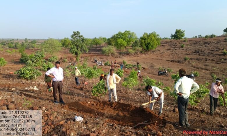 जल गंगा संवर्धन अभियान के तहत् एकतासा पंचायत में कंटूर ट्रेंच का हो रहा निर्माण 1 img 20240614 wa0046955399500275294728