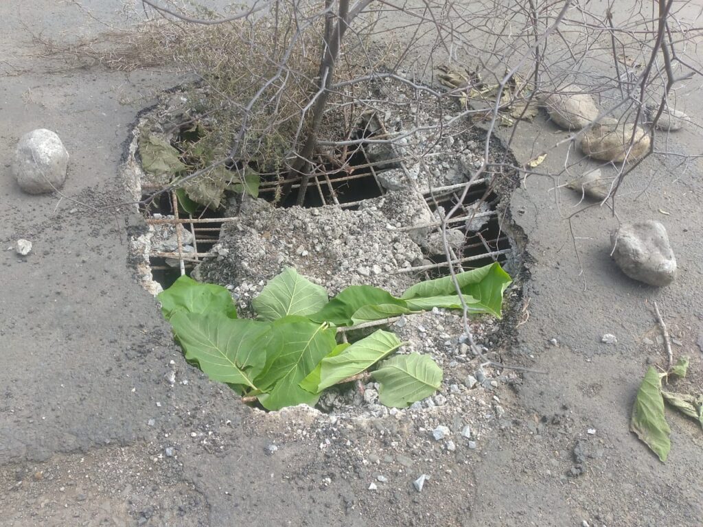 बड़वाह। ओखला के पास उदय नगर मार्ग की पुलिया के क्षतिग्रस्त होने पर भारी वाहनों पर लगाई रोक.... 2 IMG 20240706 WA0008