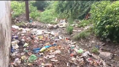 Screenshot 2024 07 10 20 39 48 25 6012fa4d4ddec268fc5c7112cbb265e7