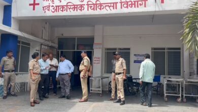 IMG 20240830 16423391