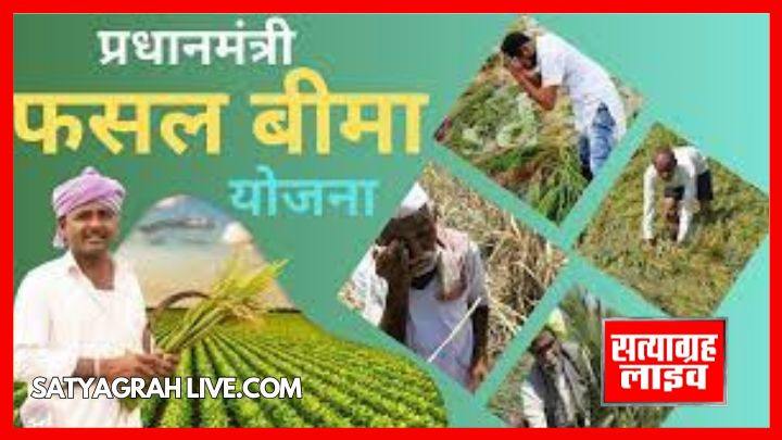 प्रधानमंत्री फसल बीमा योजनान्तर्गत अपनी फसलों का बीमा कराने की अंतिम तिथि बढ़ाकर 16 अगस्तत 2024 की गई 1 SATYAGRAH LIVE WEB IMAGE
