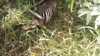 img 20240827 wa00227141109424534326238