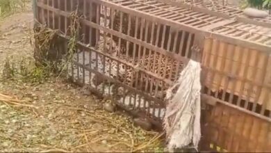 IMG 20240902 18144513