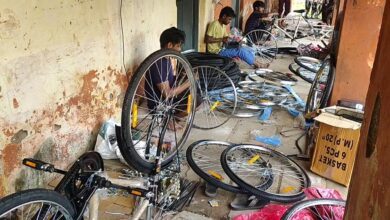 IMG 20240908 14545522