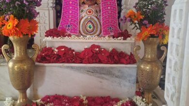 WhatsApp Image 2024 09 01 at 17.44.16