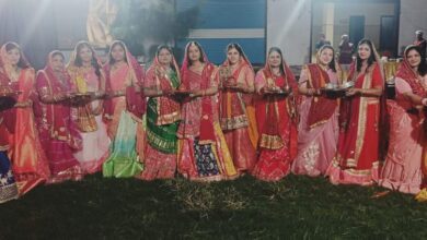 0d4c3dc7 cf76 43bd 8e65 a574ed1f6b10