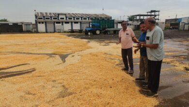 3c9ee705 8b56 4a71 a8bd 2d3e4569d8a4