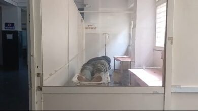 IMG 20241004 10491272