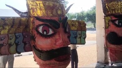 IMG 20241009 16533978