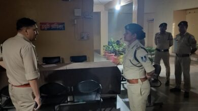 b5d195f1 702a 4f31 99cb 3588576cd491