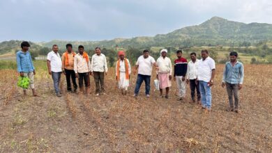 b7a3f76c a74d 49f1 a30a 51ee820de9fa