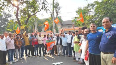 11b0d58d 37df 4448 952e f90290f7d94e