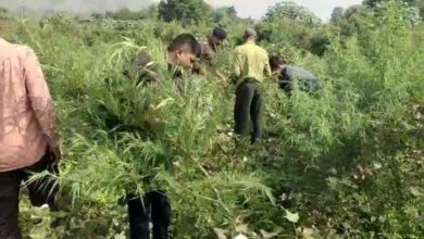 1d34e0b2 6cb9 4c0c 957d 29aedd017e6b