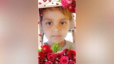 227e5400 580c 4eb3 8b73 32fe754beb4a