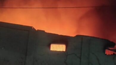 28c29832 d118 4682 a99d 5b4096db9e37aa