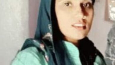 2c0e239d 74b1 41a4 8687 51d4372792fd