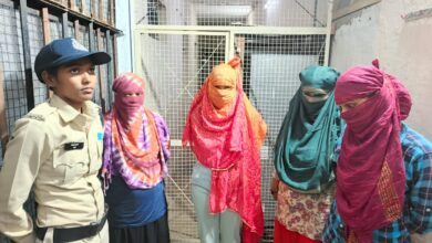 53e0fe32 5257 4de7 9152 f0a2bf2d5896