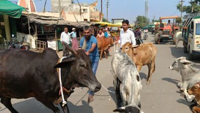 5816a590 d587 4dcd bd1a 2f49225ce027