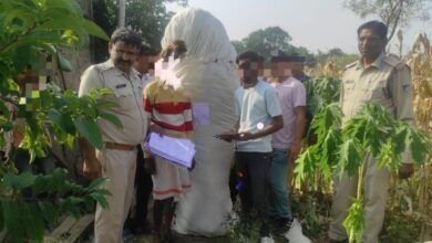 61cc23f5 76bd 4726 80c7 7fae333f31d6