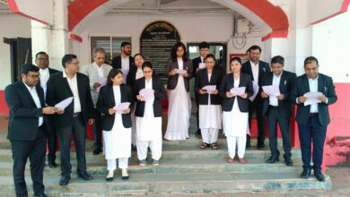 73ebf881 c91a 48c4 82cf 022fde5383cb