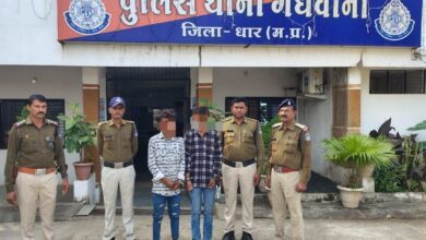 8ab286f2 f2c9 4c6d 83af b4e75349e57e