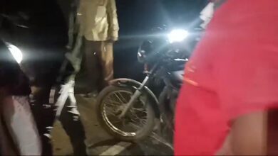 IMG 20241121 12222512