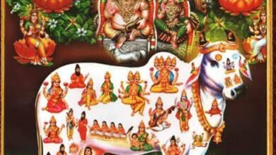 WhatsApp Image 2024 11 18 at 18.58.40