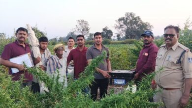 b95ec551 2546 4d41 9bec 9e7bd3dabff6