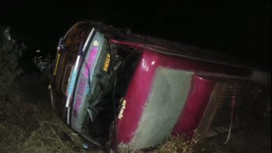 cdaa7f7a 6ee5 43f8 9491 36323dc58013