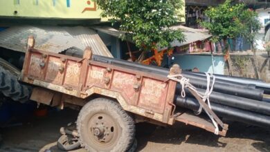 d4ba2170 0bd3 4848 b1e2 062994857c51