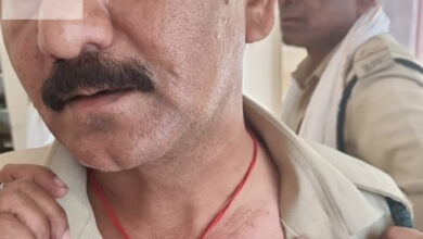 ed22cbc9 6317 4460 8bca 923db6e9b743 e1730702052914