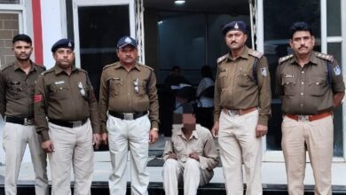 3182fae6 7646 4641 a6ea 2319d1999b0dA