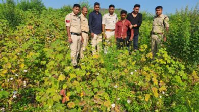 7dedd63f 9fbe 4f53 9da6 b388324094bf