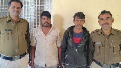 c033e853 1dae 4384 9f55 0f811ee3bc96