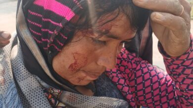 d29aa254 9d4a 4c84 8939 c14d8c92cff7