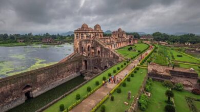 241cc10f 7c43 43dc 9d2e 684576f592be