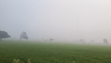 34447745 1f55 4021 acfe 3dd995c34a7f