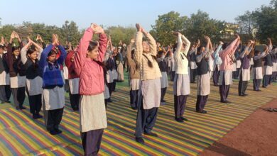 63ffc538 88eb 478a ab9b eda4207aa730