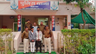 65c31f47 7322 46fe 8236 09248989c859