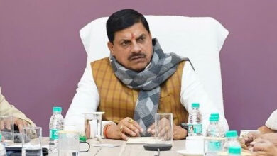 8ea6d66a 278e 441a 9721 c9ff9fd88a26 e1735964514320