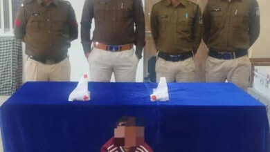 943c2ef9 430f 4603 ac41 ea3090145cb2 e1736431829263