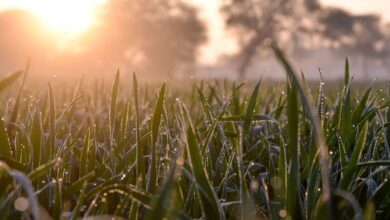 IMG 20250114 144510 516